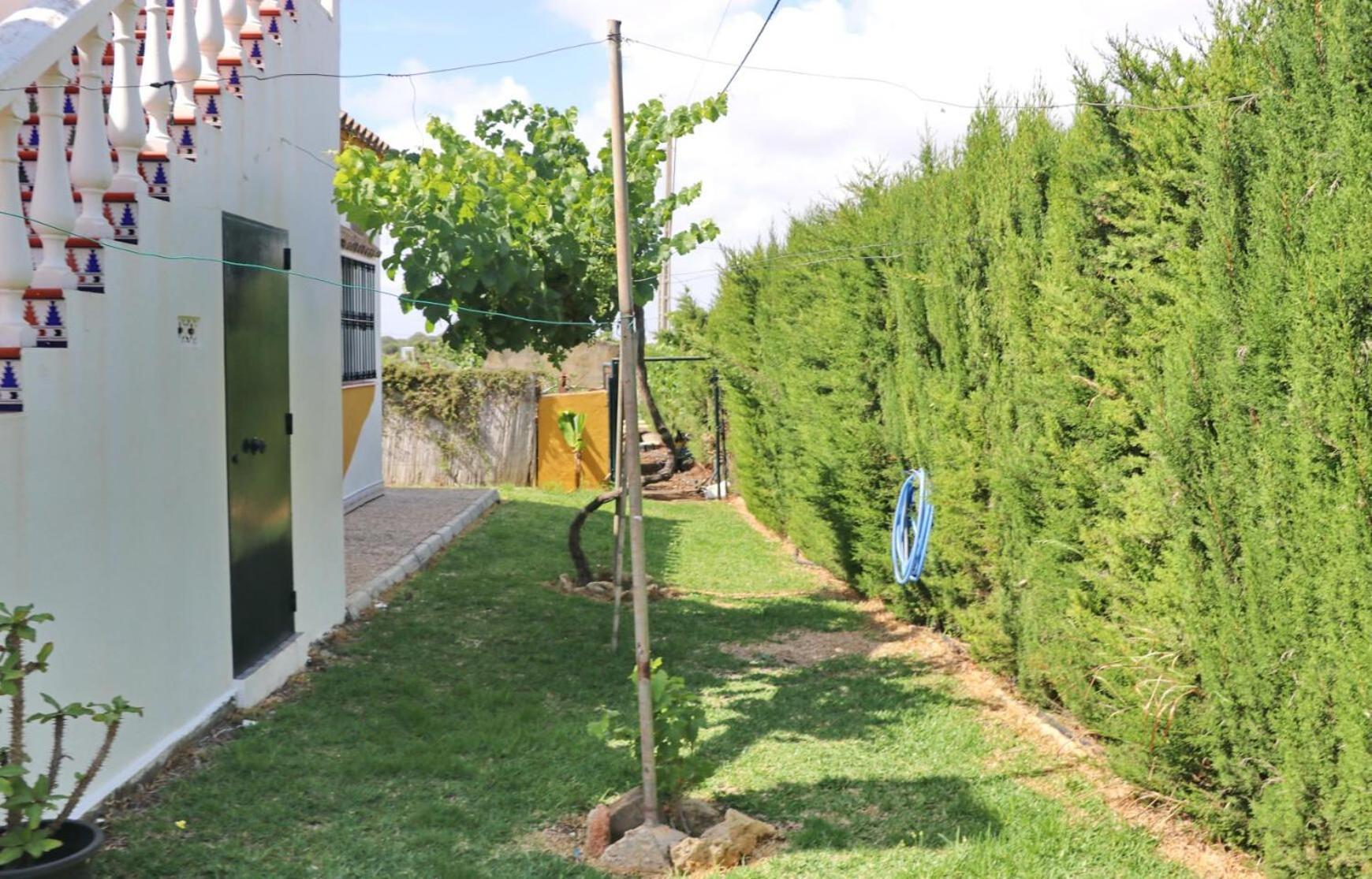 Chalet Pilahito Conil De La Frontera Εξωτερικό φωτογραφία