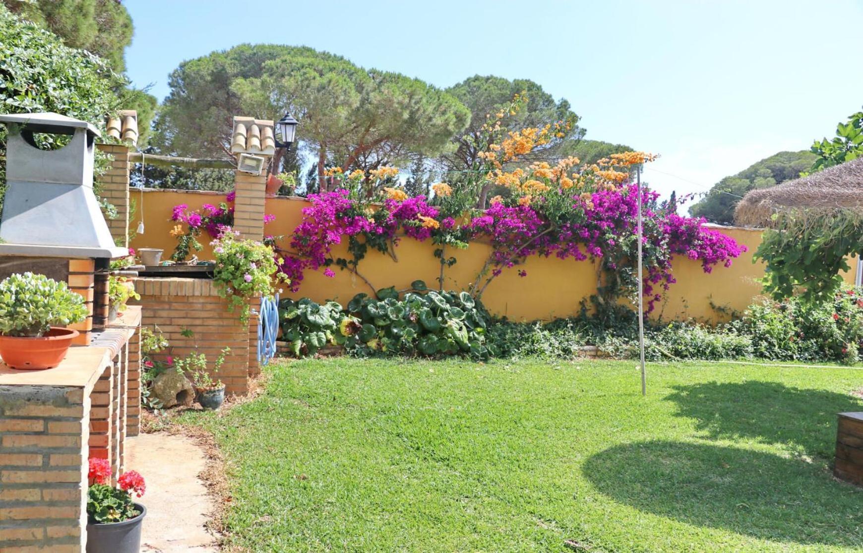 Chalet Pilahito Conil De La Frontera Εξωτερικό φωτογραφία